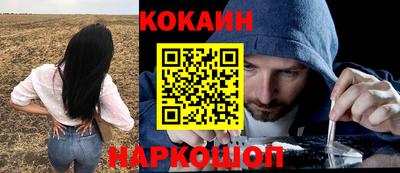 индика Гусь-Хрустальный