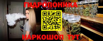 индика Гусь-Хрустальный