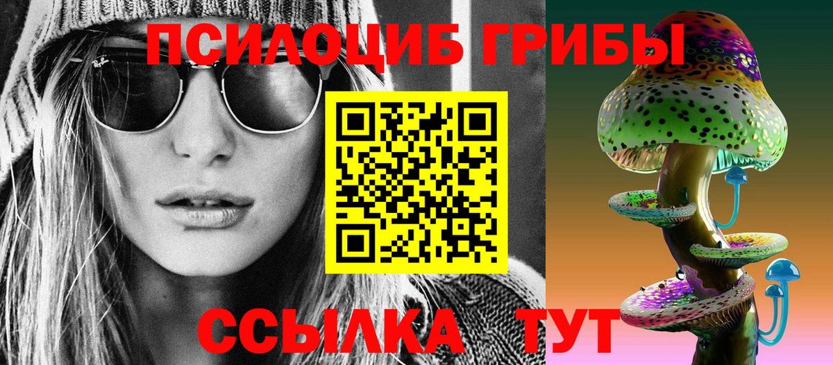 Псилоцибиновые грибы мицелий Бугуруслан